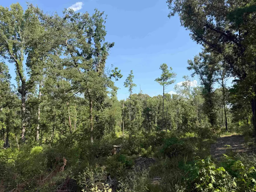 000 Cr 4218 15 Acre, Jacksonville, TX 75766 - #2