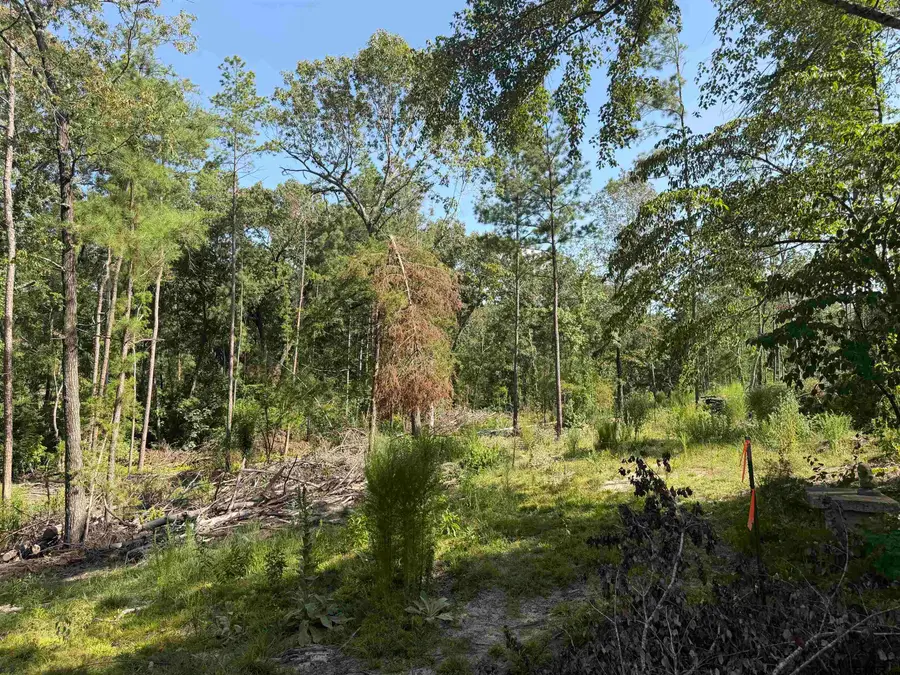 000 Cr 4218 15 Acre, Jacksonville, TX 75766 - #3