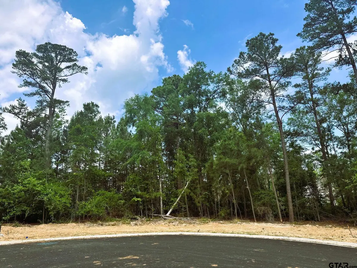 2449 Hidden Creek Cv, Tyler, TX 75703 - #1