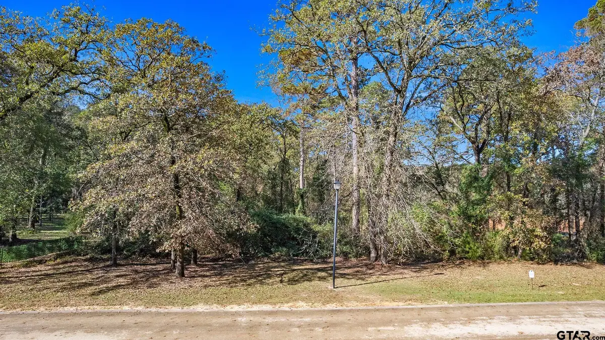 8831 Wilder Trail, Tyler, TX 75703 - #1