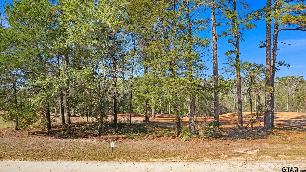 8741 Wilder Trail, Tyler, TX 75703 - #1