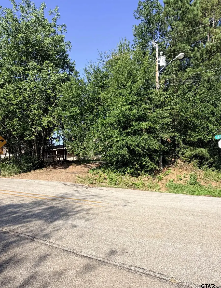 1520 Skidmore Ln., Tyler, TX 75703 - #2