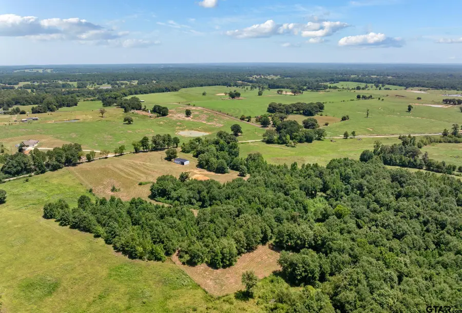 22728 Cr 2166, Troup, TX 75789 - #3