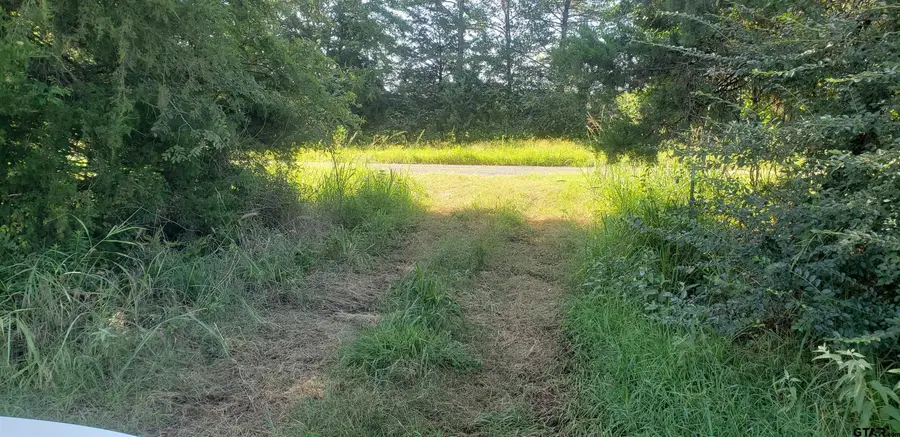 2405 Fm 2455, Pittsburg, TX 75686 - #2