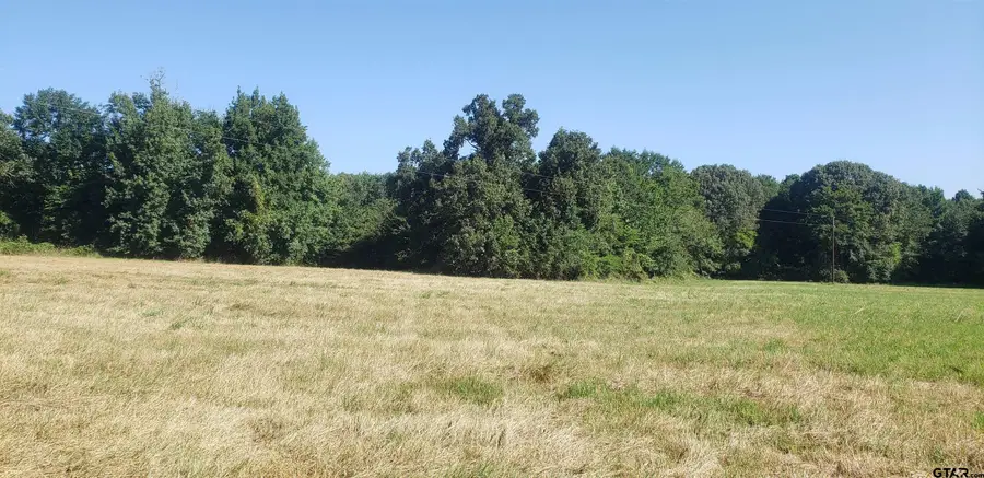2405 Fm 2455, Pittsburg, TX 75686 - #3
