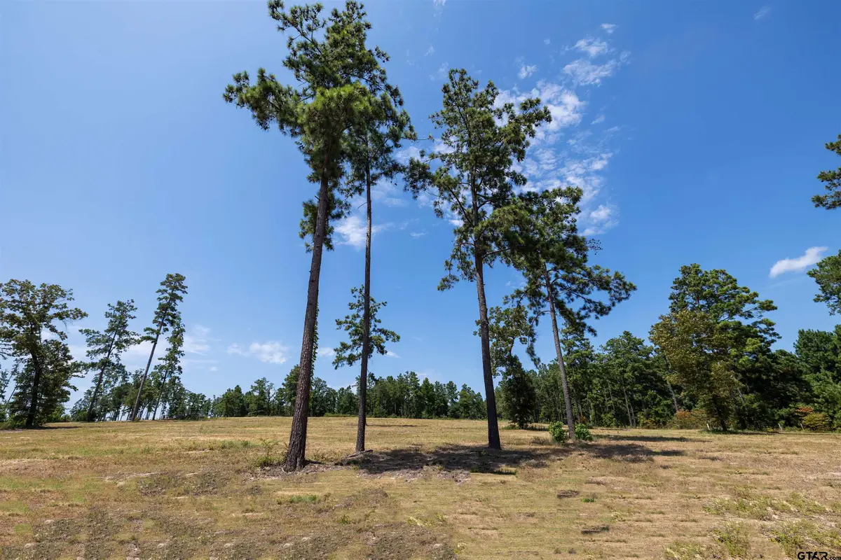 15482 Aniston Ln - (lot 28), Flint, TX 75762 - #1