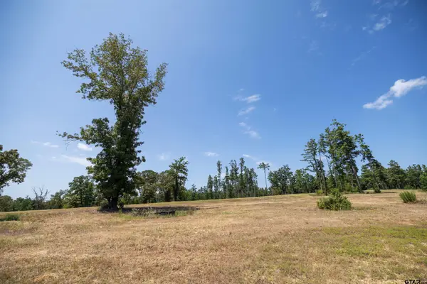 15588 Aniston Ln - (lot 26), Flint,  75762