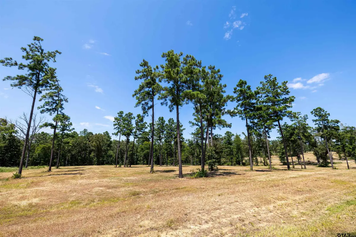 15756 Aniston Ln - (lot 23), Flint, TX 75762 - #1