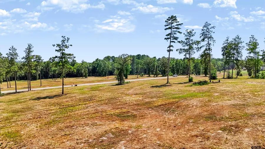15756 Aniston Ln - (lot 23), Flint, TX 75762 - #3