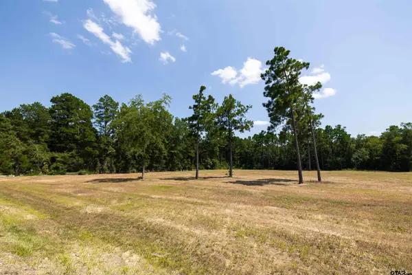 15483 Aniston Ln - (lot 1), Flint,  75762