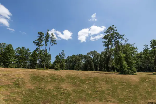15639 Aniston Ln - (lot 4), Flint,  75762