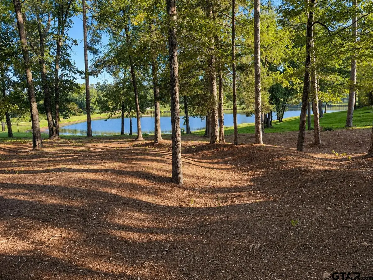 228 Carltons Way, Bullard, TX 75757 - #1