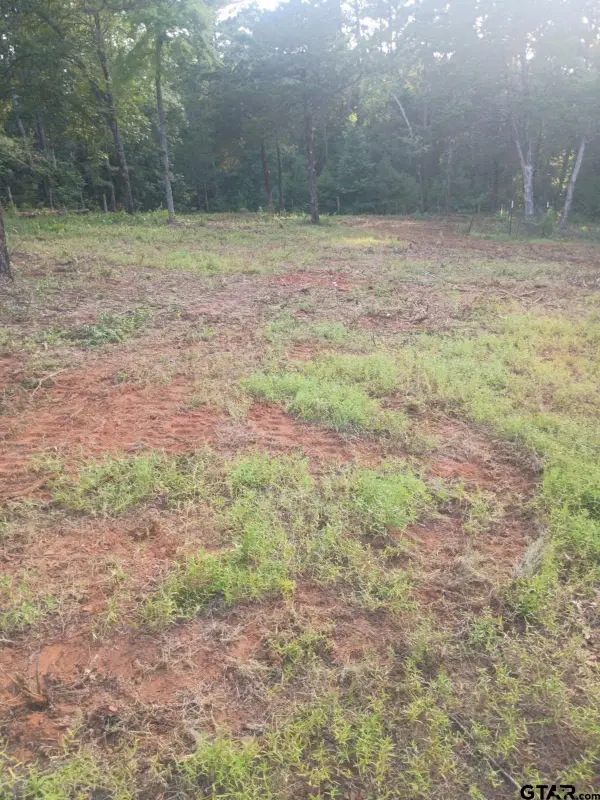 10717 C R 4149, Tyler,  75704
