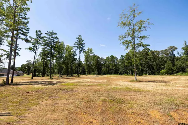 15922 Aniston Ln - (lot 20), Flint,  75762