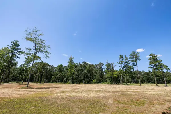 15868 Aniston Ln - (lot 21), Flint,  75762