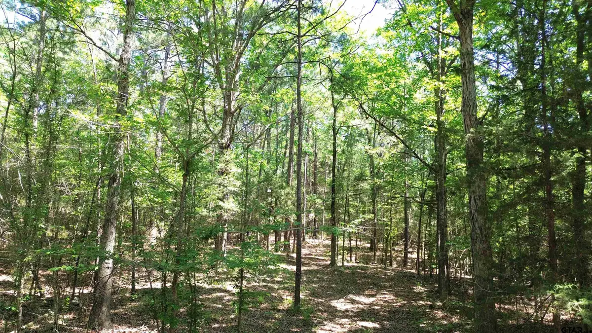 TBD Cr 4720, Kennard, TX 75847 - #1