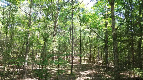 TBD Cr 4720, Kennard,  75847