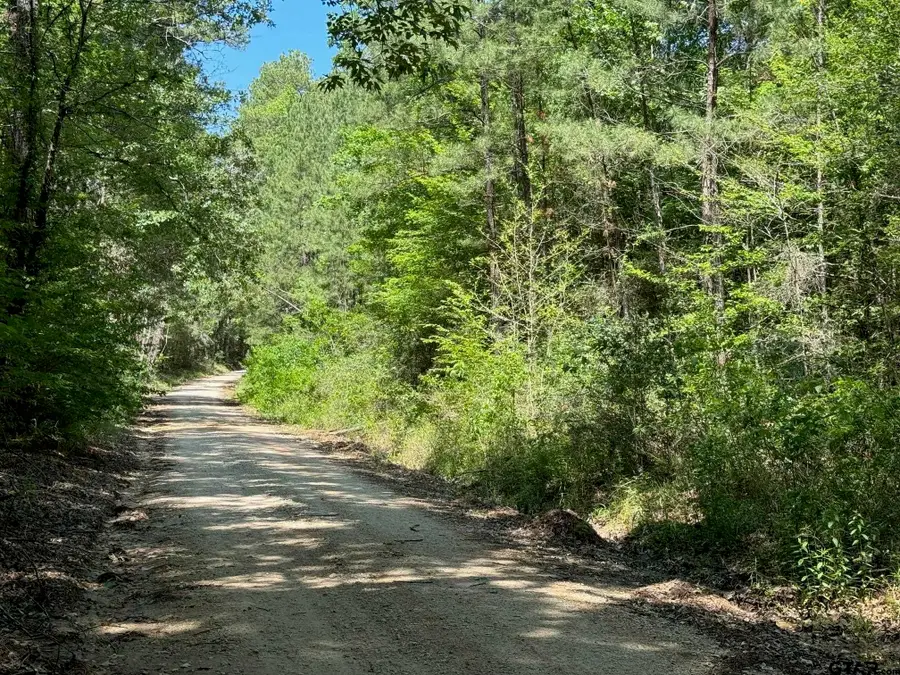 TBD Cr 4720, Kennard, TX 75847 - #2
