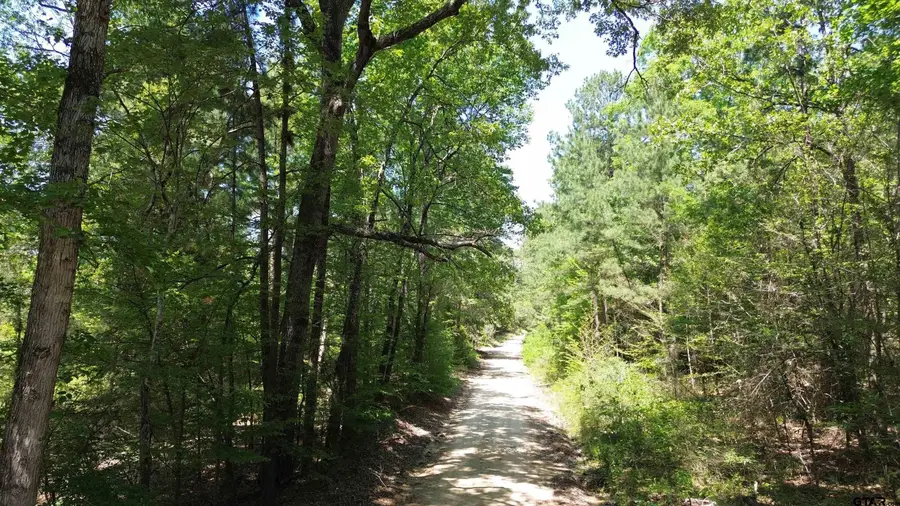 TBD Cr 4720, Kennard, TX 75847 - #3
