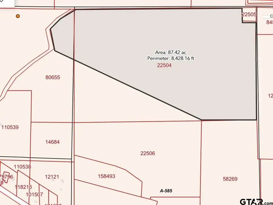 TBD Fm 852, Winnsboro, TX 75494 - #2