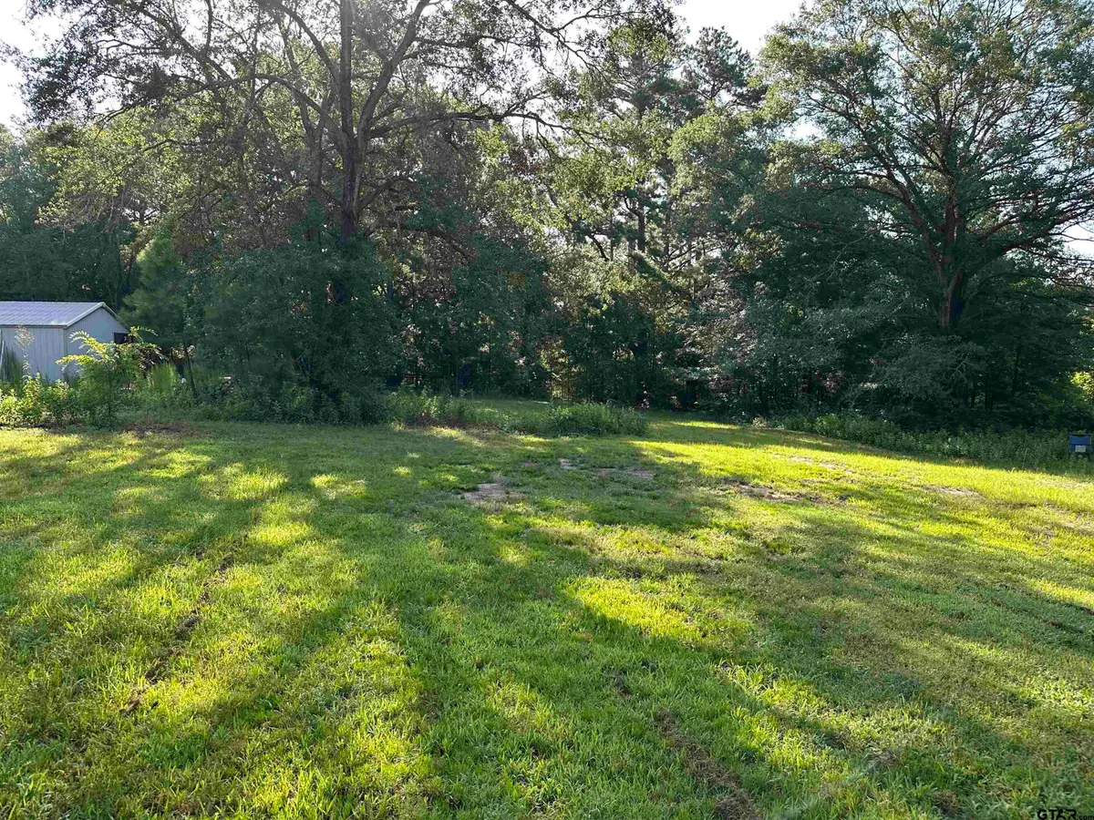 109 Shell St., Overton, TX 75684 - #1
