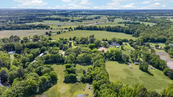 12411 Cr 4168, Tyler,  75706