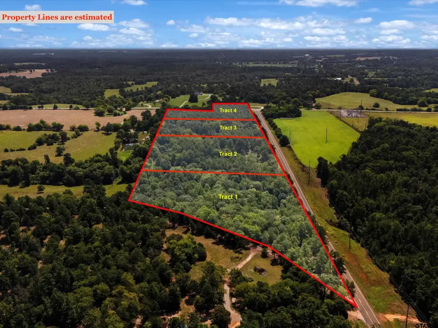 Tract 1 Slash Pine, Big Sandy, TX 75755 - #3