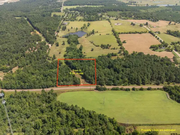 Tract 2 Fm 49, Big Sandy,  75755