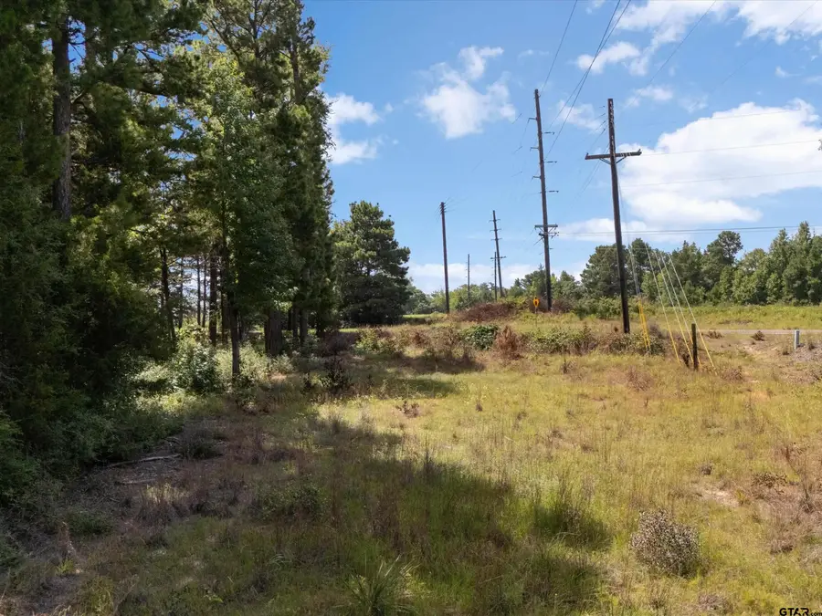 Tract 2 Fm 49, Big Sandy, TX 75755 - #3