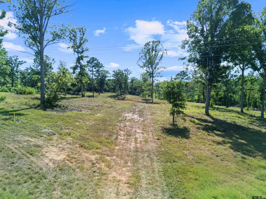 TBD Hwy 259, Ore City, TX 75683 - #2