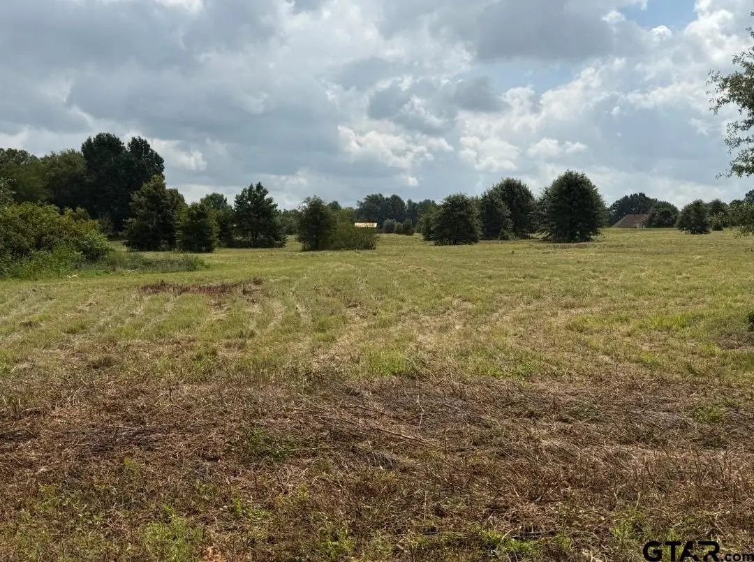 E Fm 431, Lindale, TX 75771 - #1