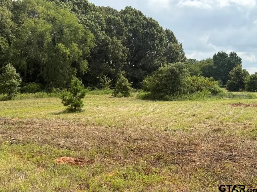 E Fm 431, Lindale, TX 75771 - #2