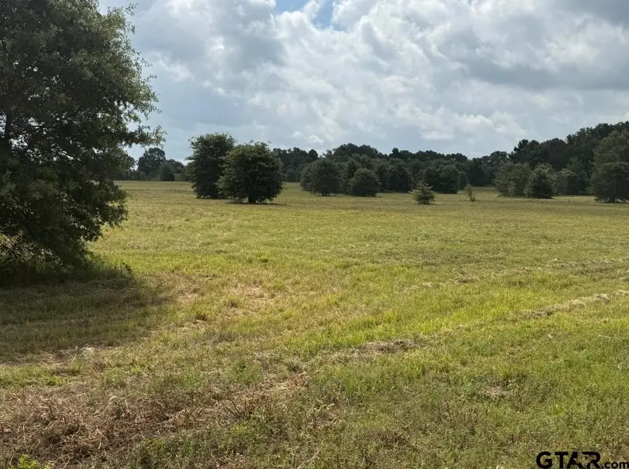 E Fm 431, Lindale, TX 75771 - #3