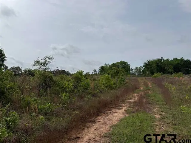 Cr 347, Henderson, TX 75652 - #1