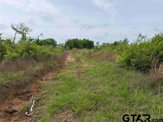 Cr 347, Henderson, TX 75652 - #2