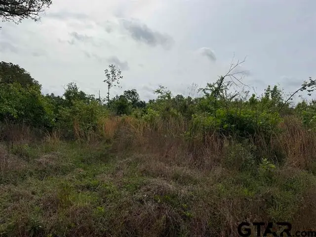 Cr 347, Henderson, TX 75652 - #3