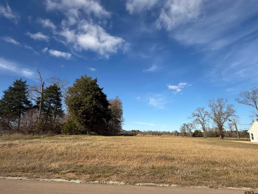 21348 Memory Lane, Bullard, TX 75757 - #2