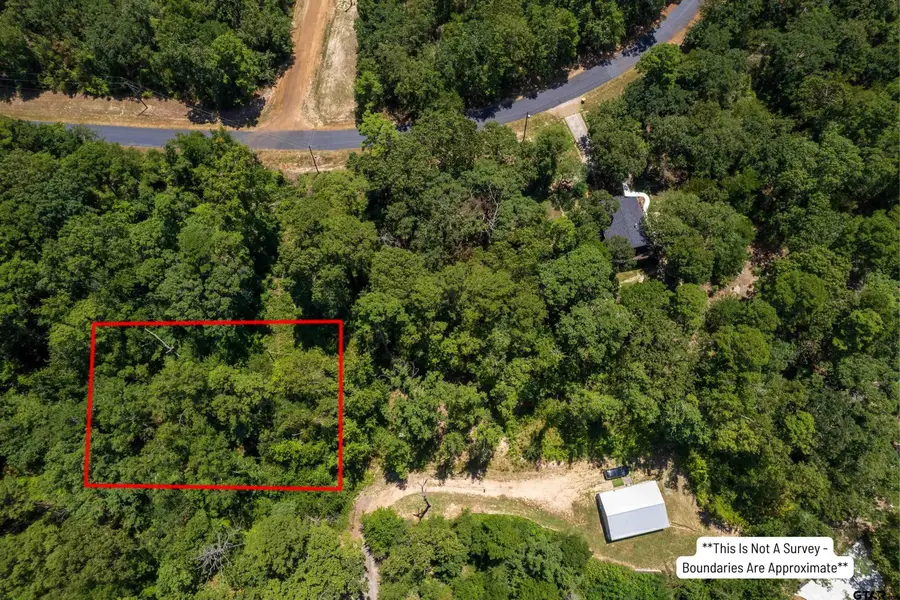 Lot 27 S. Park Rd., Scroggins, TX 75480 - #2