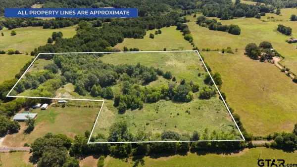 8017 Persimmon Rd, Big Sandy,  75755
