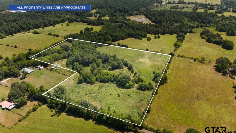 8017 Persimmon Rd, Big Sandy, TX 75755 - #2