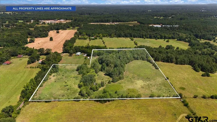 8017 Persimmon Rd, Big Sandy, TX 75755 - #3