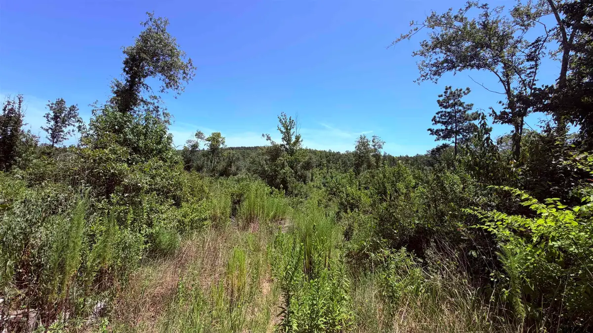 TBD County Road 372, Winona, TX 75792 - #1