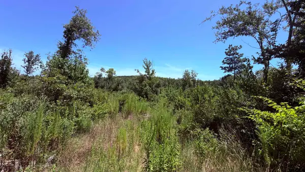 TBD County Road 372, Winona,  75792