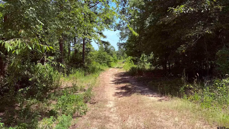 TBD County Road 372, Winona, TX 75792 - #2