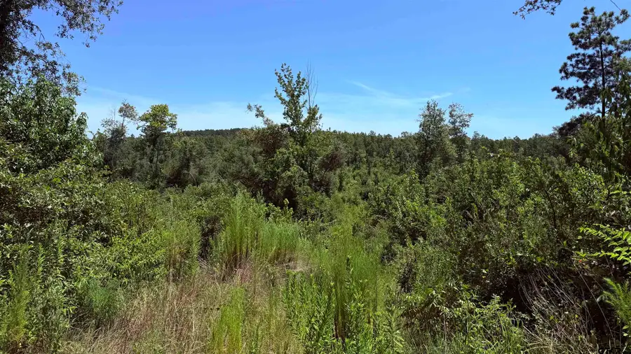 TBD County Road 372, Winona, TX 75792 - #3