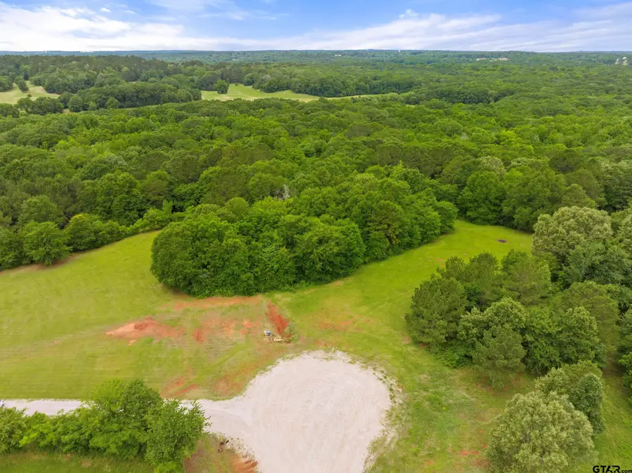 17308 Pius Pl S., Winona, TX 75792 - #2