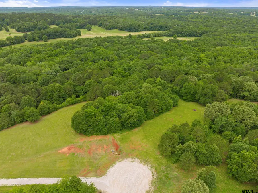 17308 Pius Pl S., Winona, TX 75792 - #3
