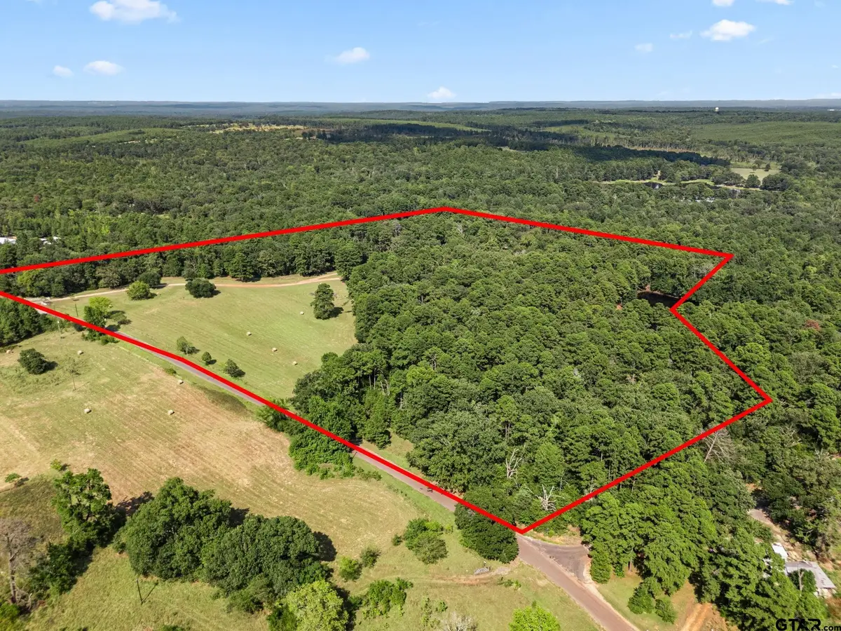 1081 Cr 3875, Mineola, TX 75773 - #1