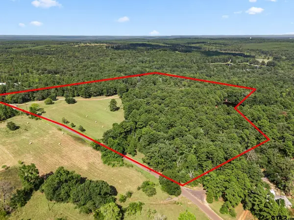 1081 Cr 3875, Mineola,  75773