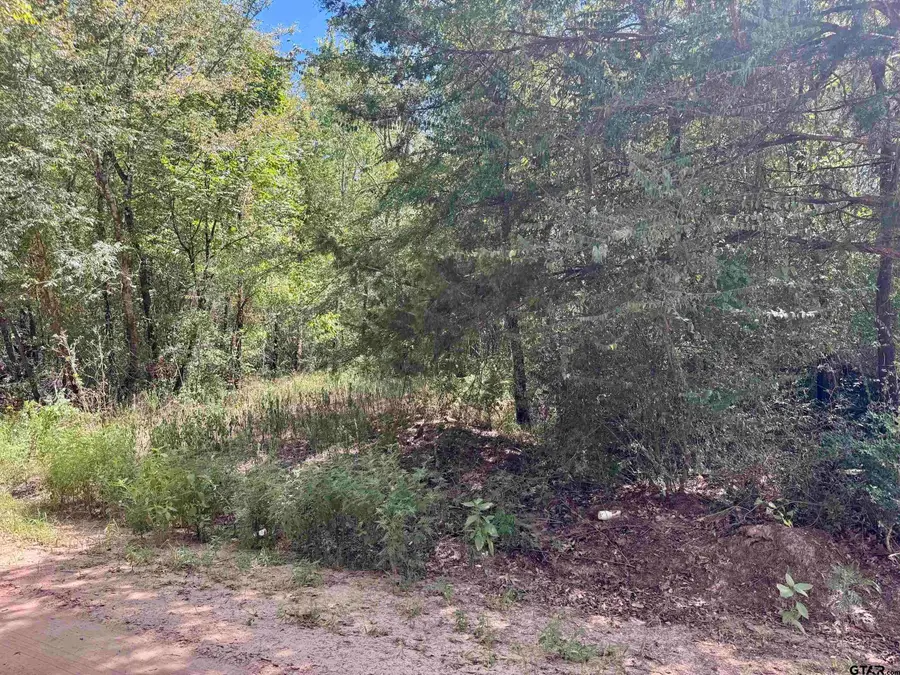TBD Cr 4545, Kennard, TX 75847 - #2